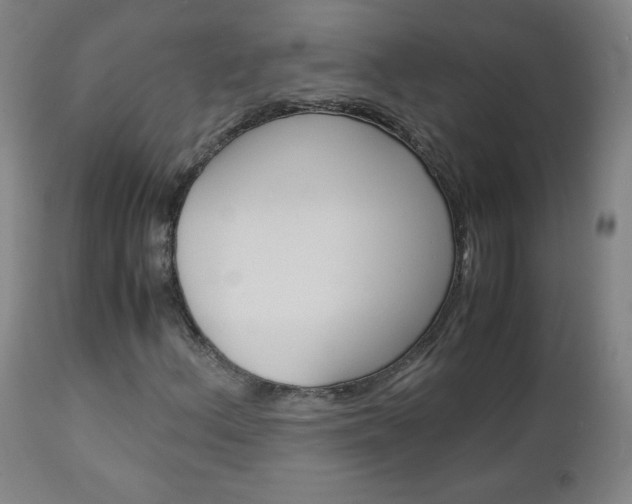 X0000113141156200909040950