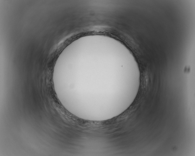 X0000113141158200909040950