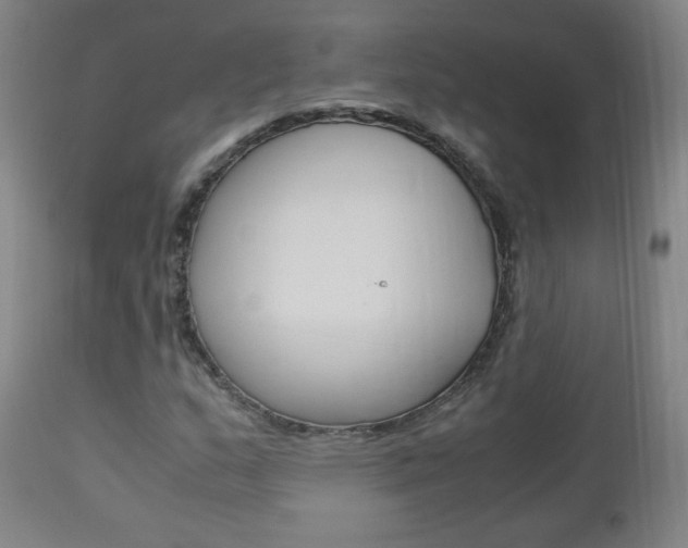 X0000113141159200909040950