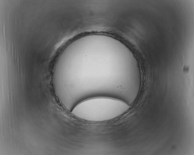 X0000113141160200909040950