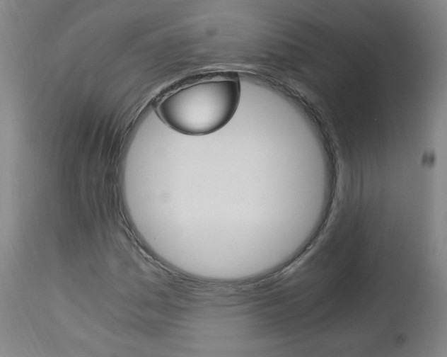 X0000113141161200909040950