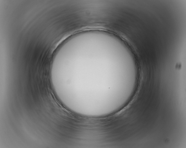 X0000113141162200909040950