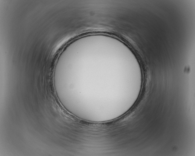 X0000113141163200909040950