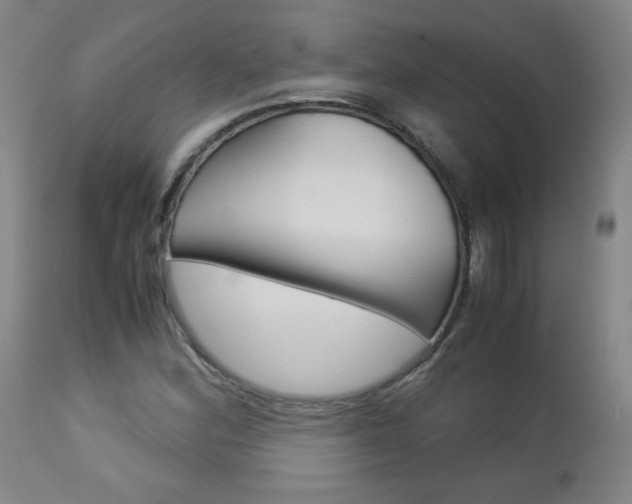 X0000113141164200909040950