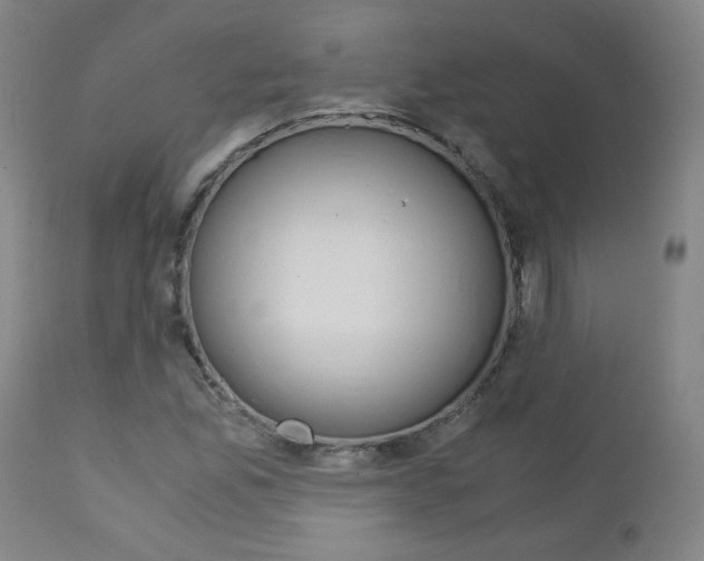X0000113141165200909040950