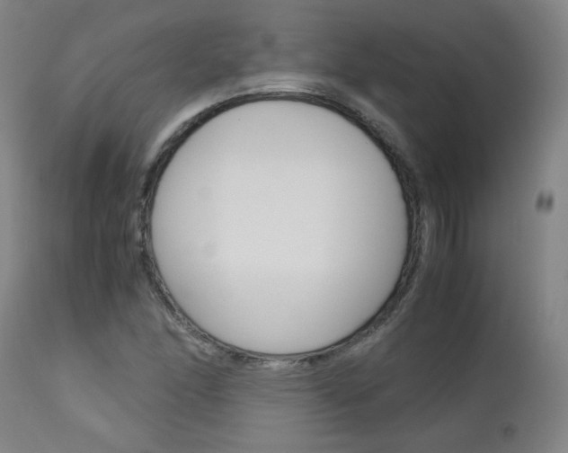 X0000113141166200909040950