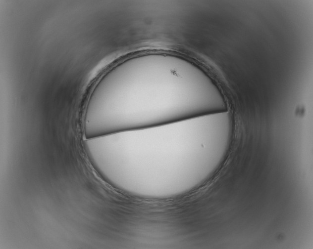 X0000113141168200909040950