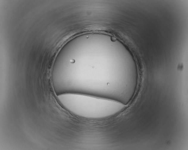 X0000113141169200909040950