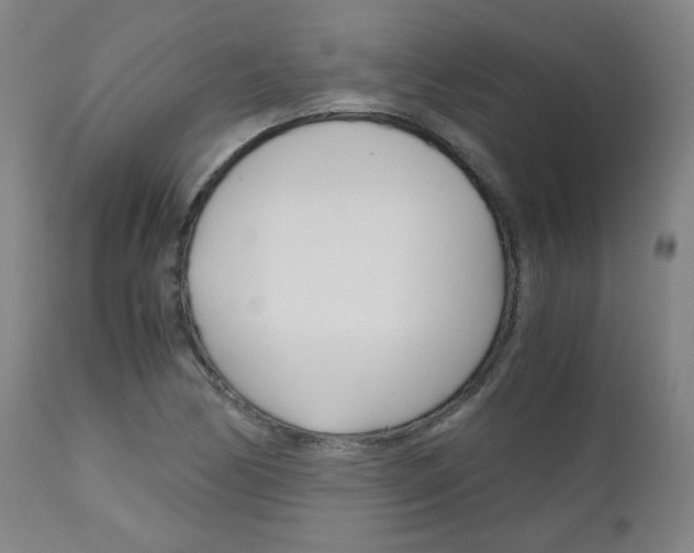 X0000113141170200909040950