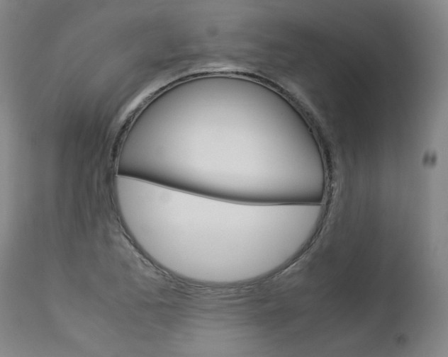 X0000113141173200909040950