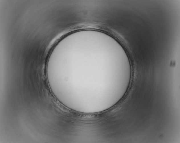 X0000113141174200909040950