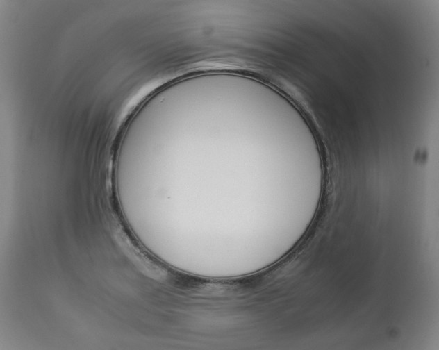 X0000113141179200909040950