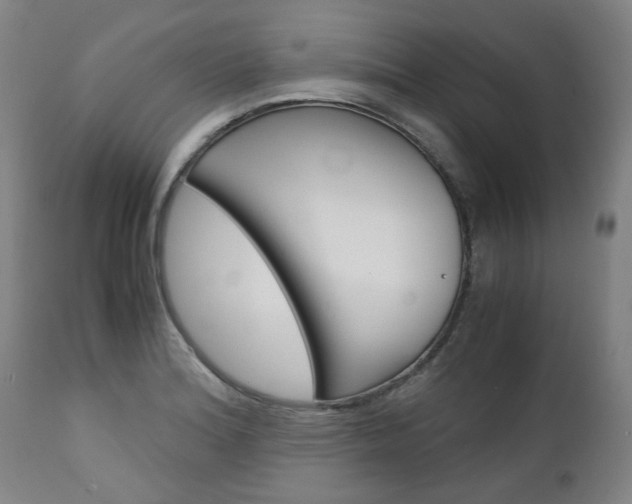 X0000113141180200909040950