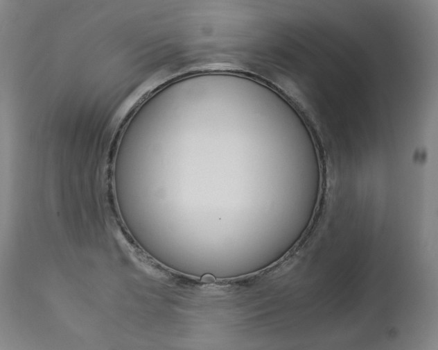 X0000113141181200909040950