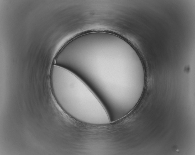 X0000113141183200909040950