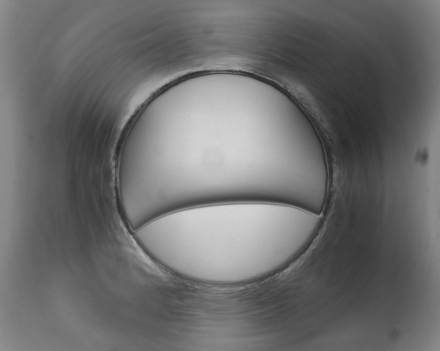X0000113141184200909040950