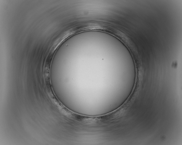 X0000113141185200909040950