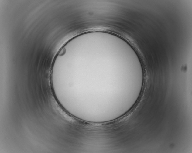 X0000113141186200909040950