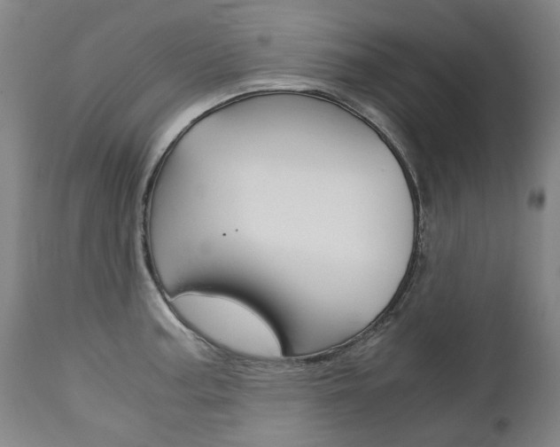 X0000113141187200909040950
