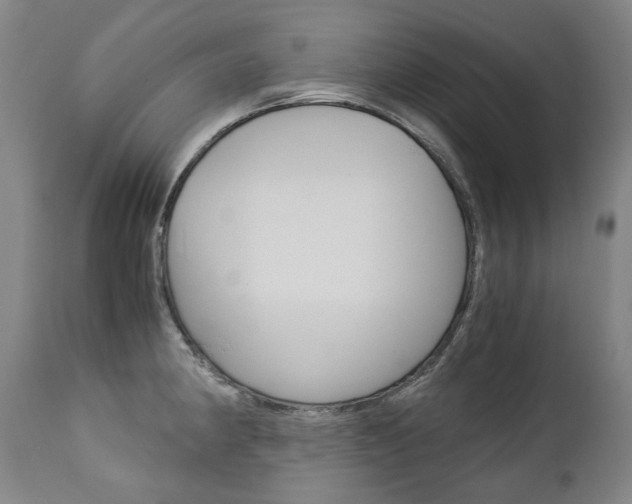 X0000113141190200909040950