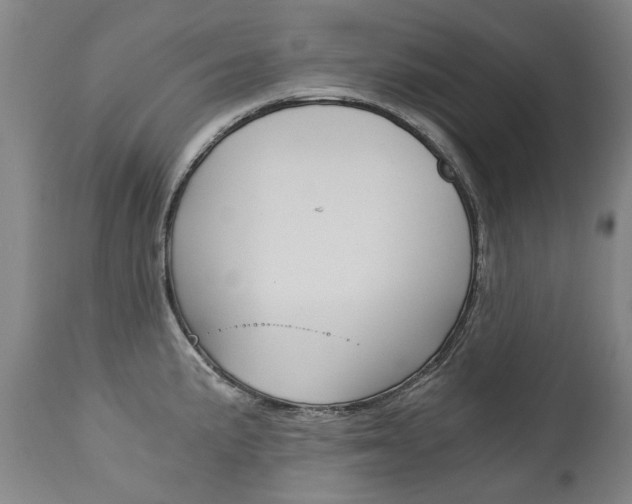 X0000113141191200909040950