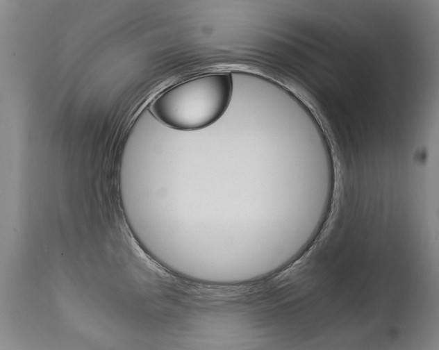 X0000113141193200909040950