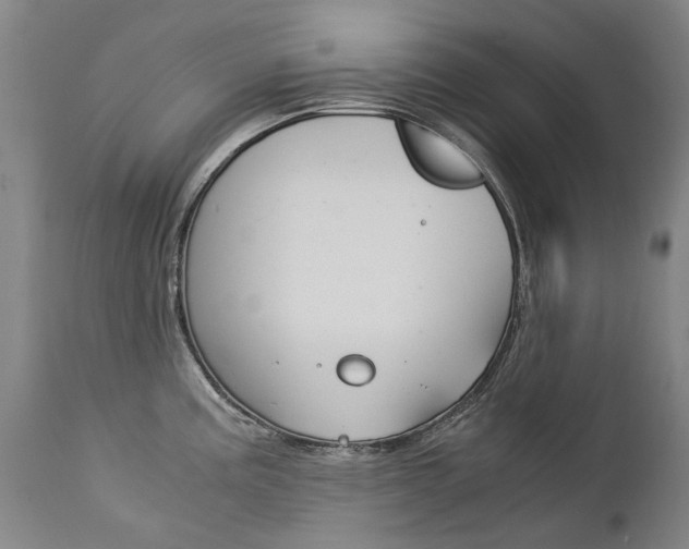 X0000113141195200909040950