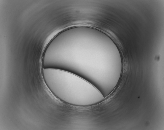 X0000113141196200909040950