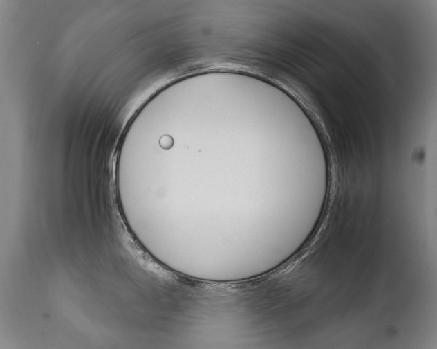X0000113141198200909040950