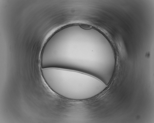 X0000113141199200909040950