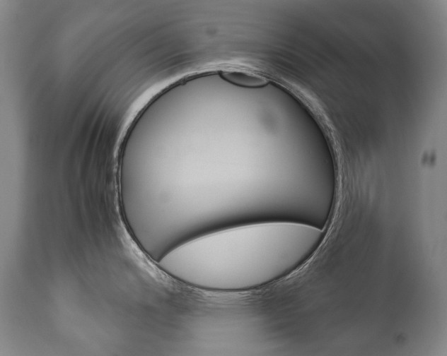 X0000113141200200909040950