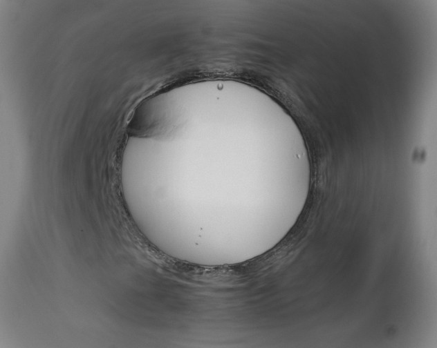 X0000113141201200909040949