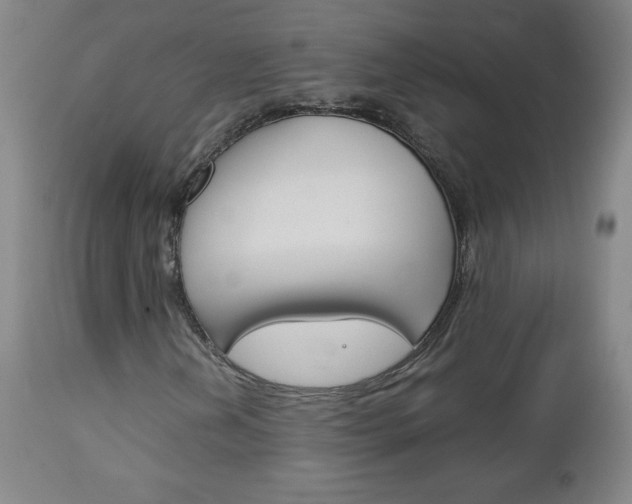 X0000113141202200909040949