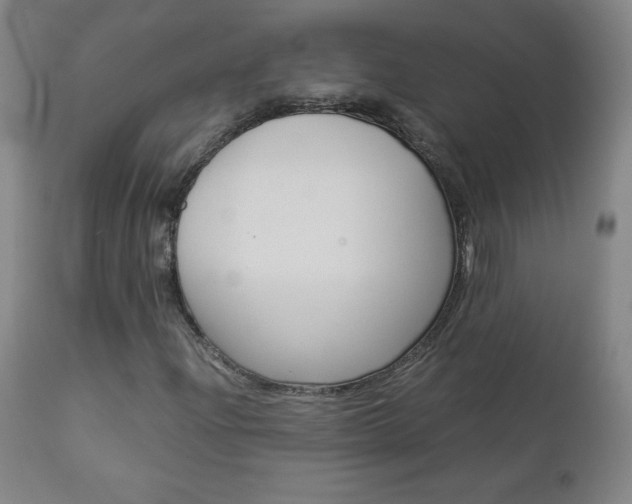 X0000113141204200909040949
