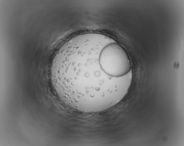 X0000113141205200909040949
