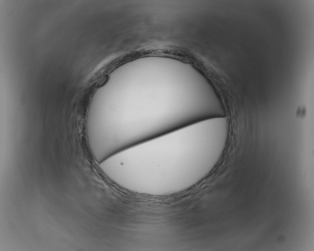 X0000113141206200909040949