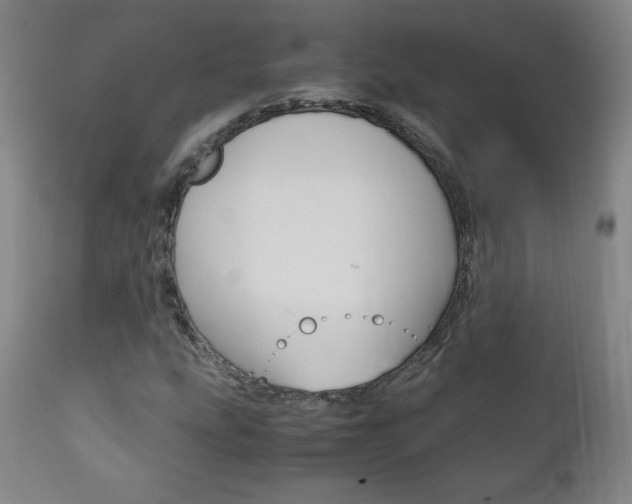 X0000113141207200909040949
