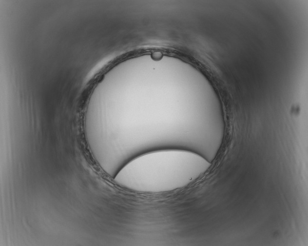 X0000113141208200909040949
