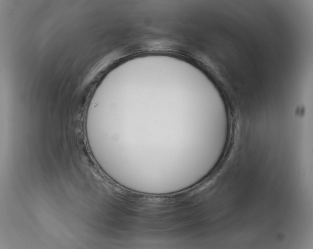 X0000113141211200909040949