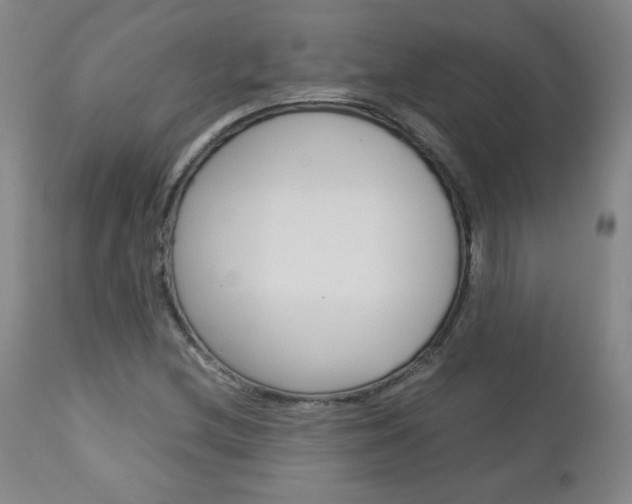 X0000113141212200909040949