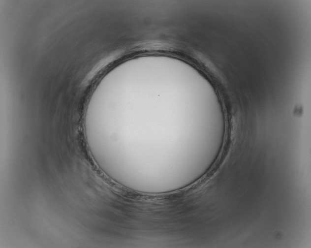 X0000113141213200909040949