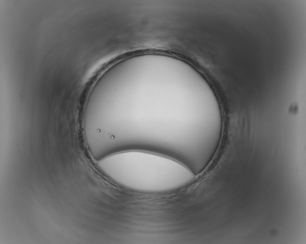 X0000113141214200909040949