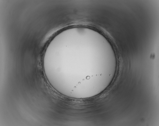 X0000113141215200909040949