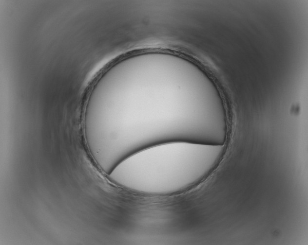 X0000113141216200909040949