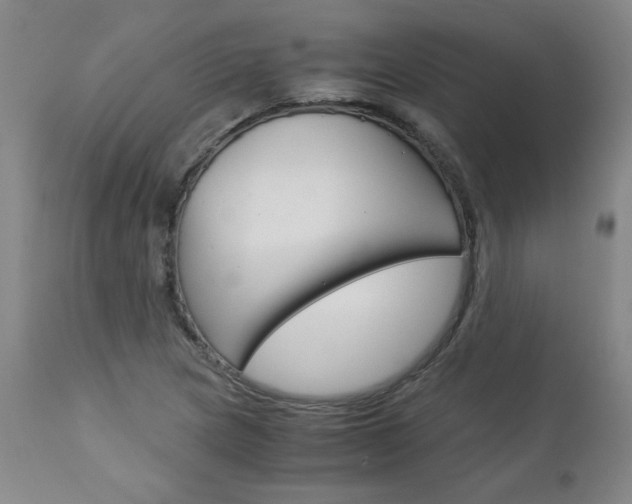 X0000113141217200909040949