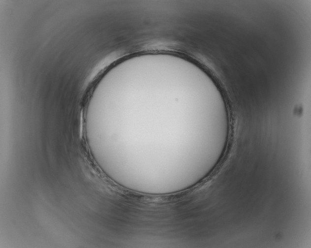 X0000113141219200909040949