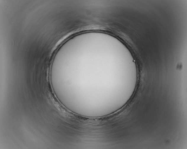 X0000113141220200909040949
