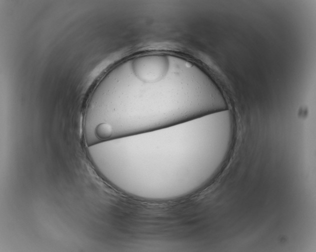 X0000113141221200909040949
