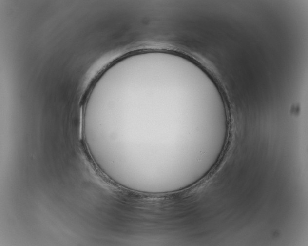 X0000113141223200909040949