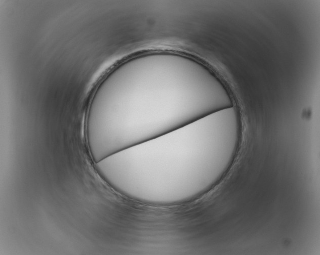 X0000113141224200909040949